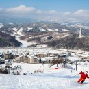 알펜시아리조트 이미지