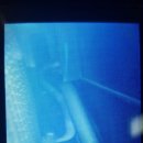 태성크리닝 이미지