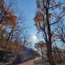 황학산비채숲펜션 이미지