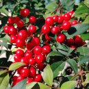 창신황제공인중개사사무소 이미지