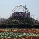 (주)수와진푸드 | 🌷 지금 딱 예쁜 태안 튤립축제! 직접 다녀온 후기 총정리 🌷