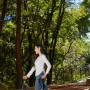 올바른 걷기 챌린지(노르딕 워킹) | 프란치스코 F1 초경량 워킹스틱 설날 부모님 효도 선물 필수템