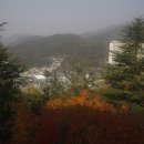 죽도봉공원 이미지