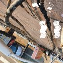 황금게임랜드 이미지