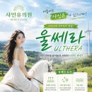 유의원 네이버블로그