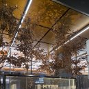 김석진 | 김석진 생일카페 투어 후기 -① (차품집)