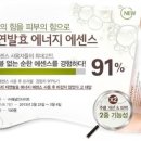 푸른에너지 Daum카페
