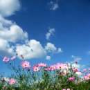 회인중학교 이미지