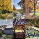 번영로 4 버스정류장 | 전주 수목원 단풍,11월 전주 가볼만한곳 걷기좋은곳 추천🍁가을 여행지