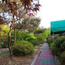 운악골 가평점 이미지