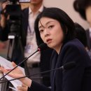 배현진 카카오 검색결과