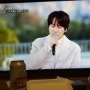 시너피아