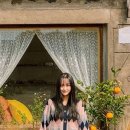 귤밭사진관