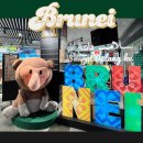 산성시장(통신사 설치)5 | 브루나이 자유여행 필수준비물 공항 도착 후 유심 구매 후기 가격 통신사 eSIM 추천