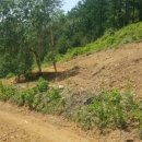 우가농장 이미지