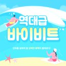 비트정보