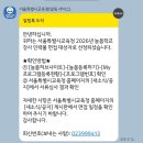 주일 카서비스 | 대방어의 계절이 왔슴니다