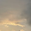 브랜든시티의원 이미지