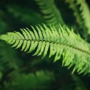 홍주요양병원 이미지