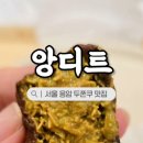 앙디트