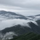 첫 산행을 폭우로 시작했으니... 이미지