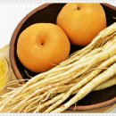 진서울치과의원 이미지