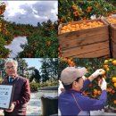 김진성농장 이미지