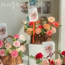 라이블리플라워