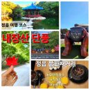 영은카서비스 | [공지] 정읍 여행 코스 샘고을시장 쌍화차거리 내장산 내장사 단풍