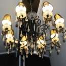 마이앤트세라 이미지