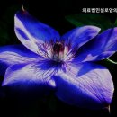 의료법인 실로암의료복지재단 이미지