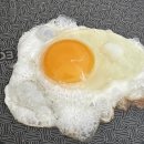선샤인 | 7월 셋째주 주말