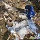 숲으로 가는 어린이집 이미지