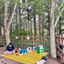 광양수영장 | 광양 포스코 백운산 수련원 수영장 &amp; 10인실 숙박 리얼 후기