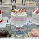 146 | [시흥은계] 기념일 케이크로 추천 코코케이크 다녀온 후기 (feat.먹부림#146)