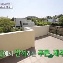 이집이야 이미지