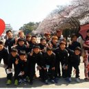 강구초등학교 이미지