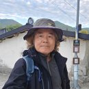 [9] 남파랑길 78코스 원등마을회관~율포해수욕장(19km) - 2025.11.13. 이미지