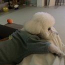 몽니드 이미지