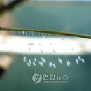 적성면사무소 이미지