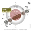 구름속 보름달 | 2026 정월 대보름 개기월식, 안양천에서 본 붉은 달 블러드문 관측후기