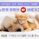 오지랖차수리 이미지