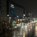 부흥오토랜드 | 2025 1. 군산 : 경암동 철길마을→복성루→모어 앤 모어→마리서사→초원사진관→카페 틈→진포해양테마...