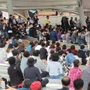 가을 대표 청도반시 축제 &amp; 청도 세계 코미디아트페스티벌 후기입니다