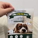 스마일케어 | 테일스마일 강아지사료 후기 알러지 케어부터 다이어트까지! 초록 vs 파랑 비교 리뷰
