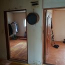 한반도면-3 이미지