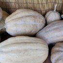 사남매농장2 이미지