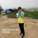 재아농장 네이버블로그
