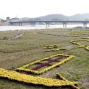 영산포홍어거리(공연장) 이미지