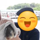 매송낚시터 이미지